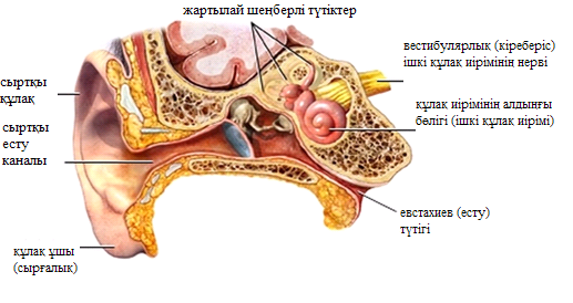 Kzbarotravma