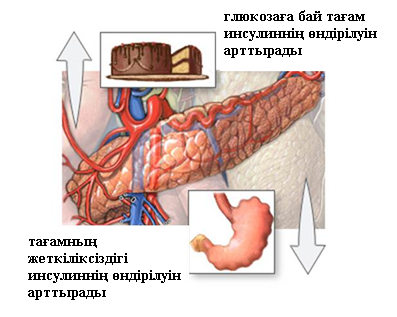 Diabet2 Kz